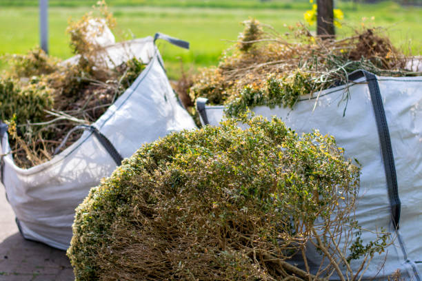 Best Basement Cleanout Services  in Menahga, MN